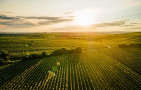 Das Tal in Österreich und Tschechien genießen, © Weinviertel Tourismus / Daniel Gollner