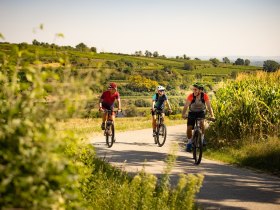 Radfahren im Weinland Traisental, © Mostviertel