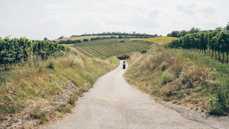 Vinárka Irene Tagwerker sa prechádza vinárskou krajinou v Herrnbaumgartene, © Niederösterreich Werbung/ Ian Ehm